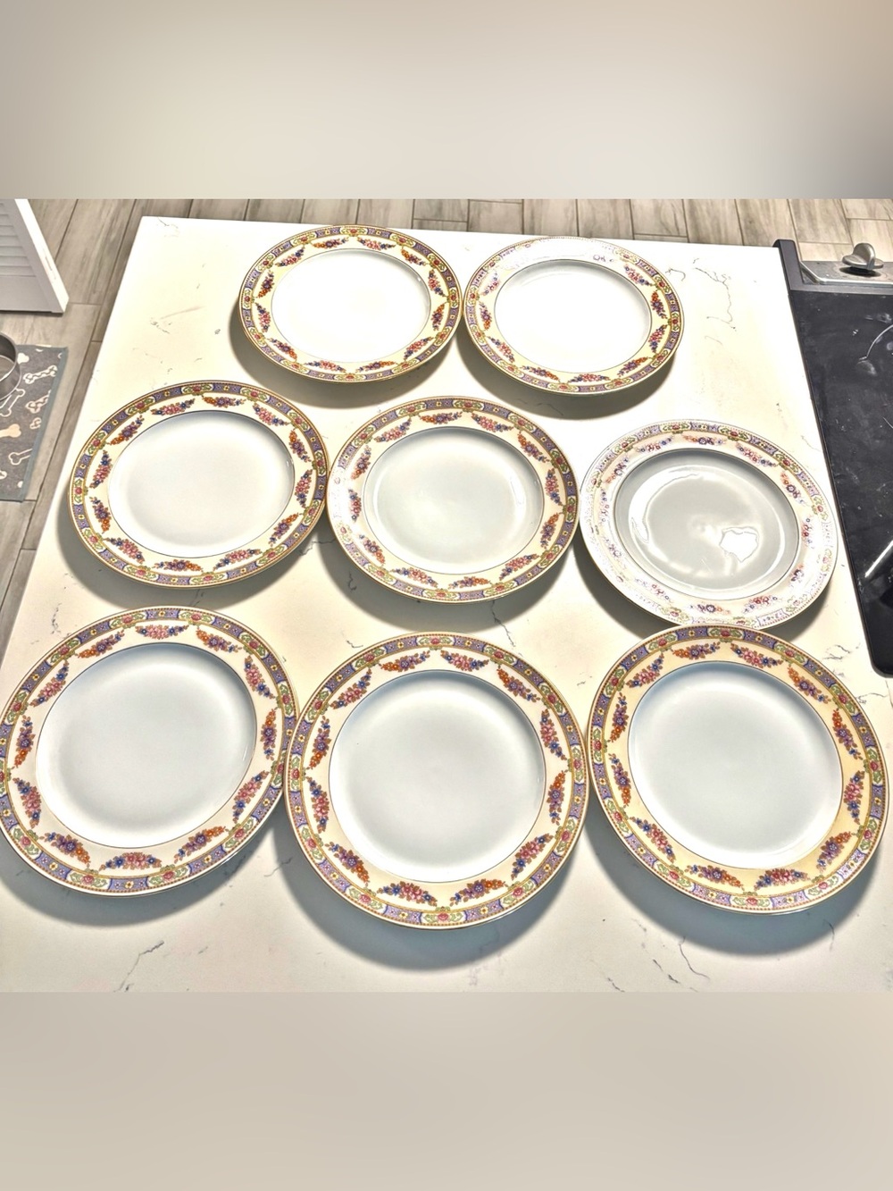 Set of 8 Epiag Czechoslovakia Vintage China Dinner Plates with Floral Trim